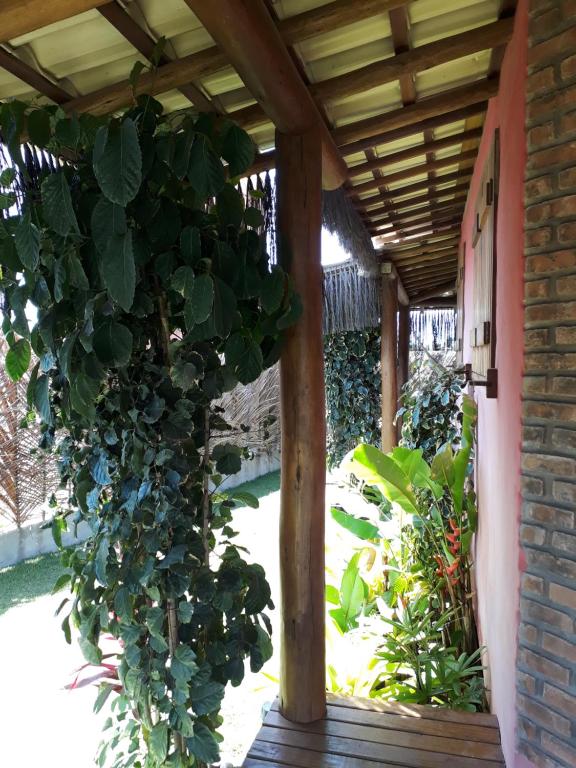  Casas Belas de Taipu