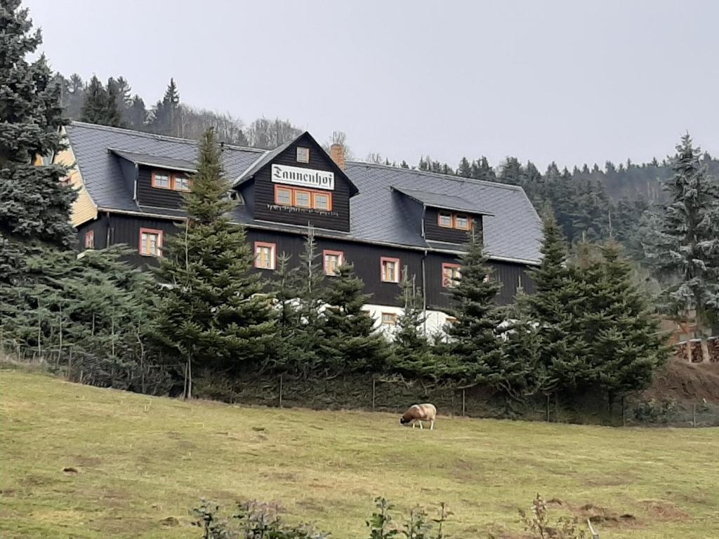 a large house with a sheep grazing in a field at Pension Gaststätte Tannenhof in Saupsdorf