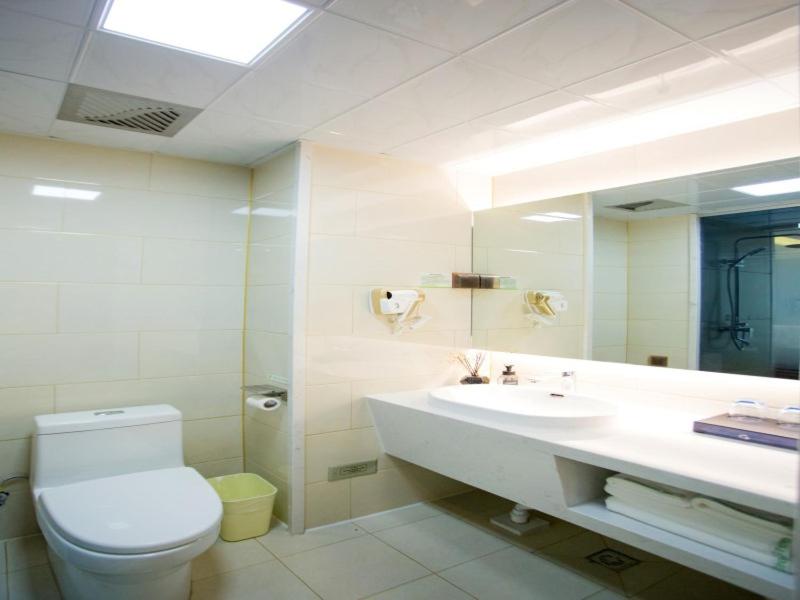 a bathroom with a toilet and a sink and a mirror at GreenTree Inn Liao Cheng Shen Country Bus Station Business Hotel in Liaocheng