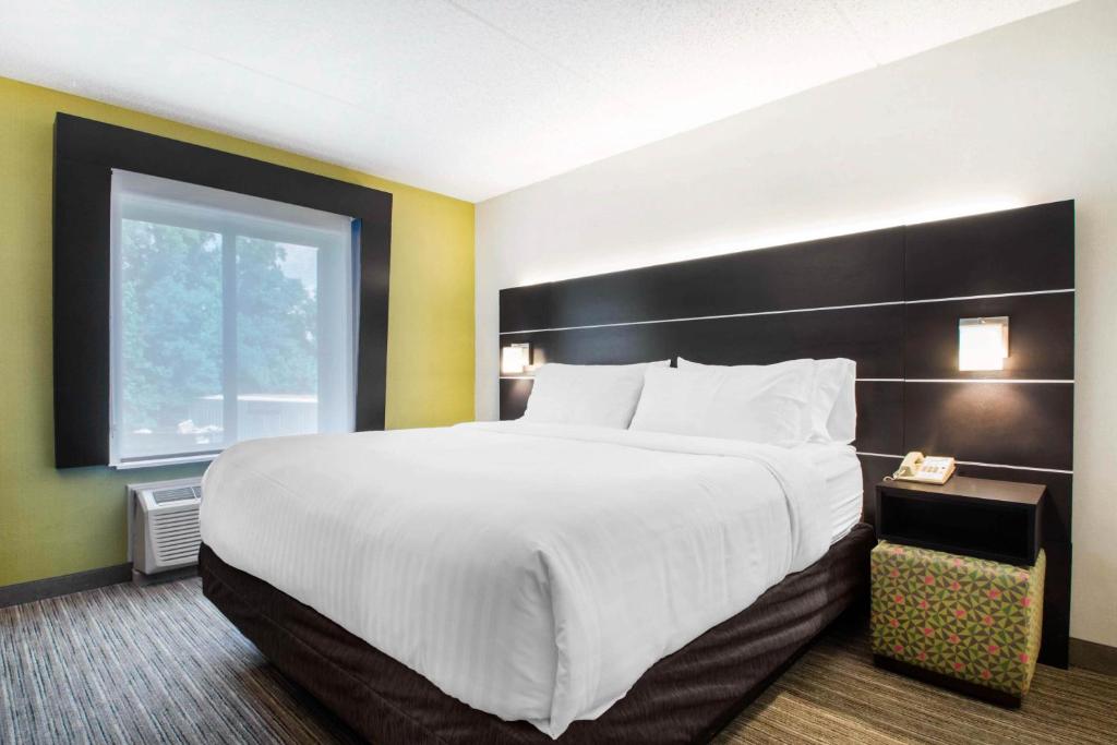 Holiday Inn Express & Suites - Albany Airport - Wolf Road by IHG - King Suite