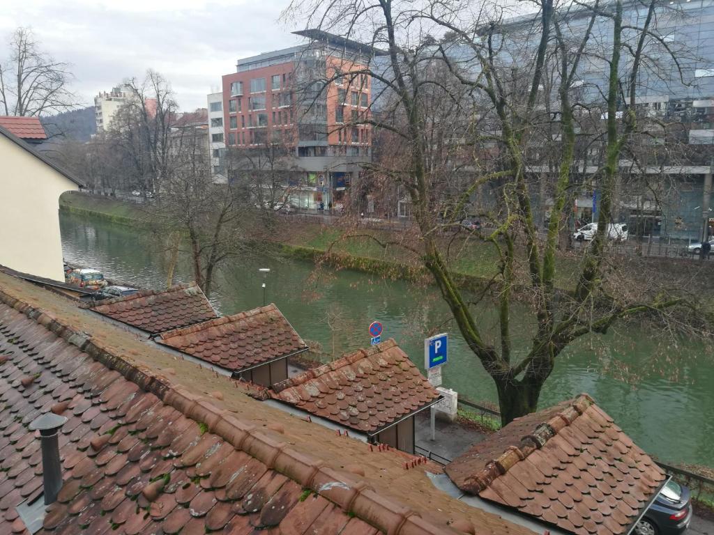 Příroda nedaleko penzionu