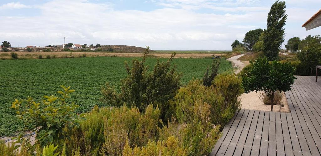a wooden walkway leading to a large green field at Comporta House in Comporta