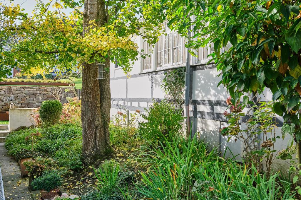 a garden with a tree and a building at Ferienwohnung im Fachwerkhof 'Haus in Bewegung' in Seelscheid