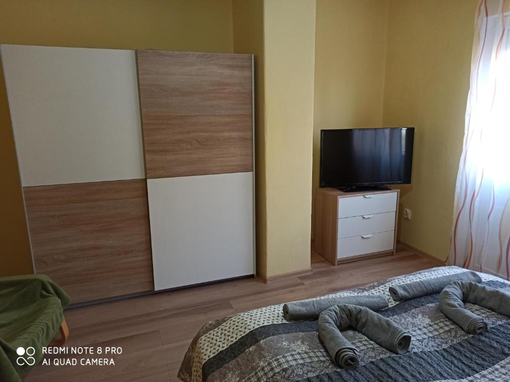 TV a/nebo společenská místnost v ubytování Centrum 2 apartman