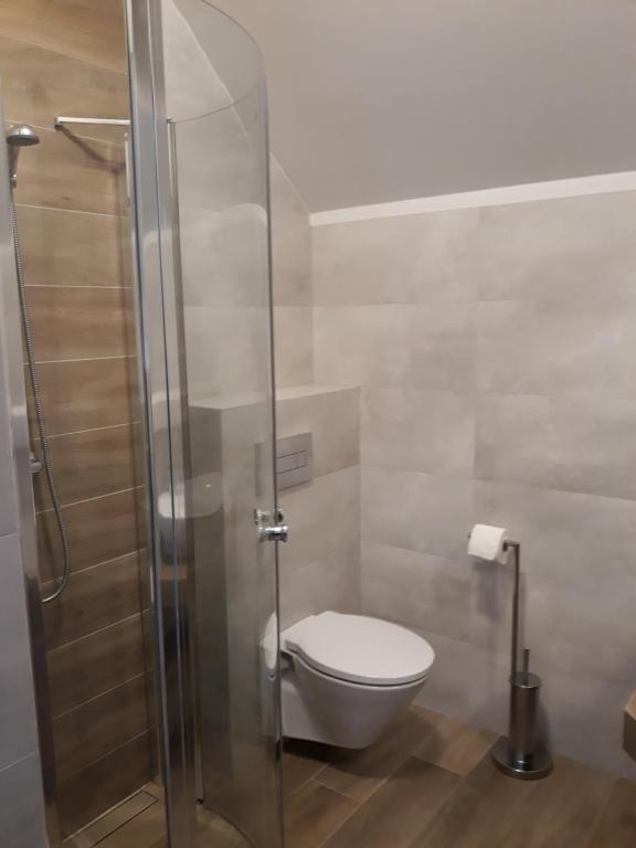 Kúpeľňa v ubytovaní Apartamenty Pod Skrzycznem