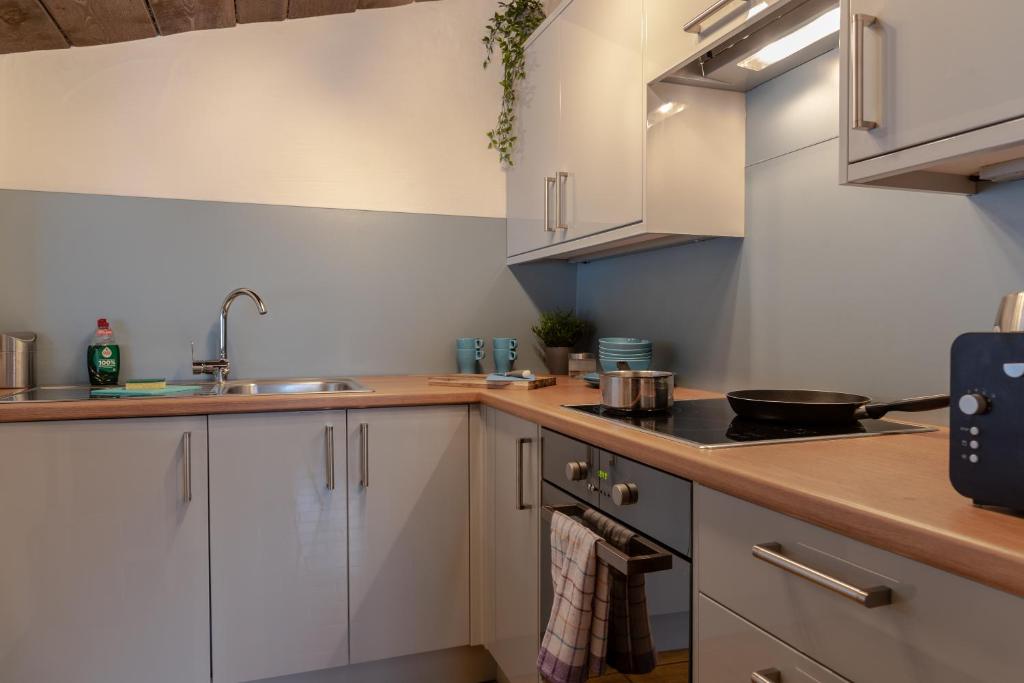 Kuchyň nebo kuchyňský kout v ubytování Apartment SHEPS in Kaprun