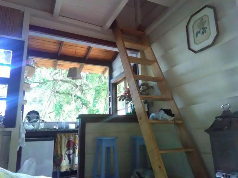  Chales Bamboo Jungle