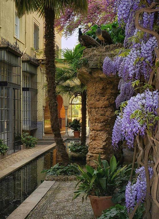 Granada City Center - 4