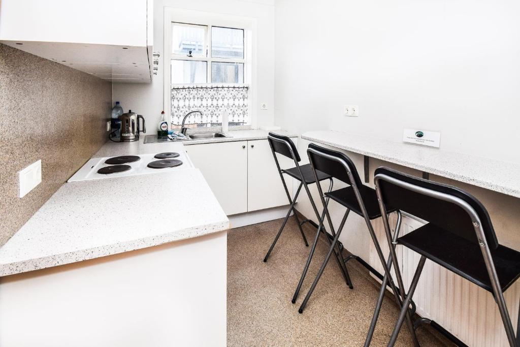 Kuchyň nebo kuchyňský kout v ubytování Guesthouse Aurora