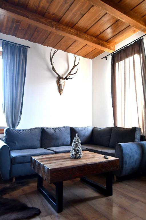 Apartamenty Rogowcówka - 1