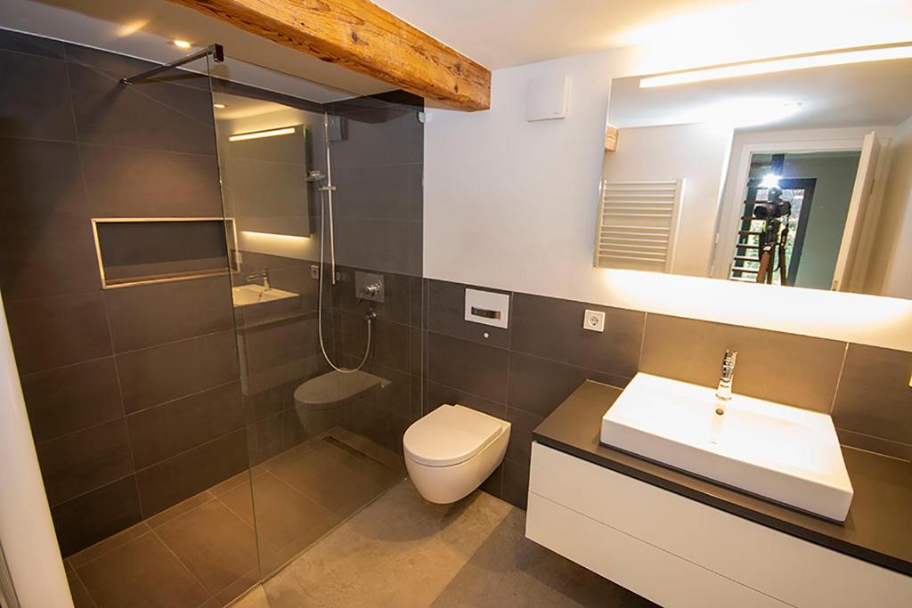 a bathroom with a toilet and a sink and a mirror at Historisches Wohnen modern interpretiert in Kirrweiler