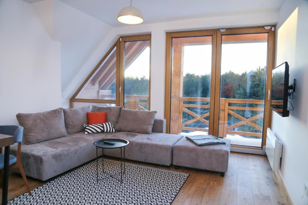 sala de estar con sofá y ventana grande en Lukas Superior Apartment & SPA, en Zlatibor