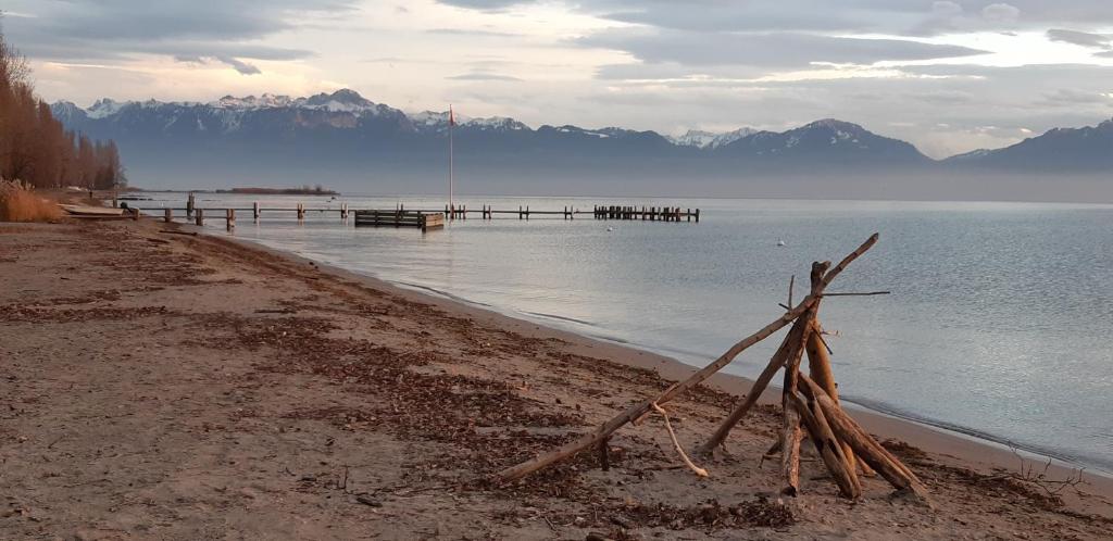 una playa con muelle en medio del agua en Plage & Montagne - Appartement familial à proximité de la plage de Préverenges en Preverenges