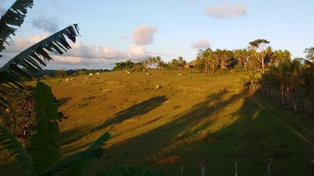  Fazenda Ecológica na Floresta da Serra da Copioba