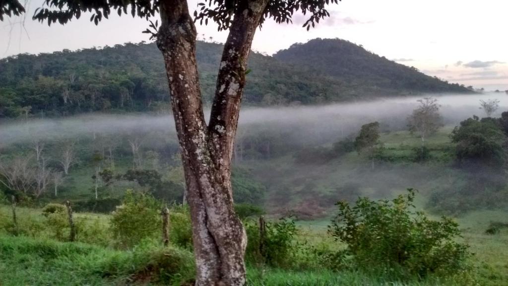  Fazenda Ecológica na Floresta da Serra da Copioba