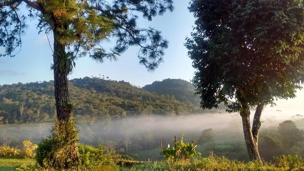  Fazenda Ecológica na Floresta da Serra da Copioba