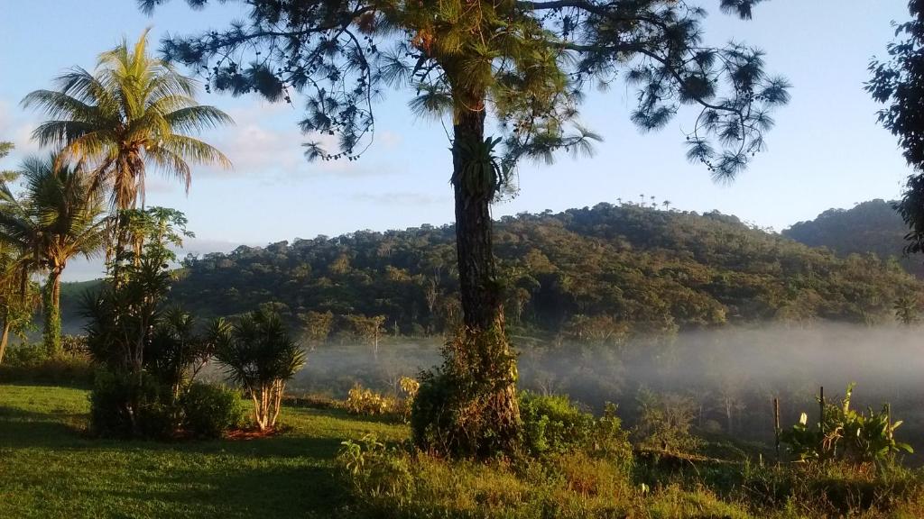  Fazenda Ecológica na Floresta da Serra da Copioba