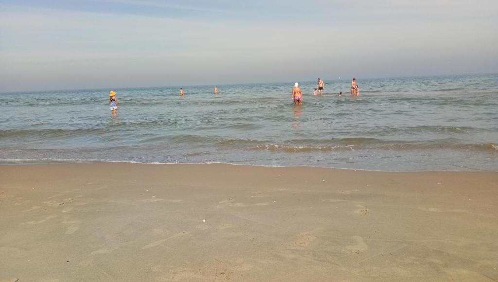 Příroda nedaleko hotelu