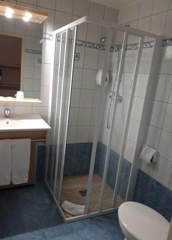 a bathroom with a shower and a toilet and a sink at Hôtel la Guimbarde in Morteau