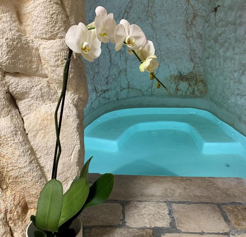 un vaso con fiori bianchi di fronte a una piscina di Panta Rei a Ostuni