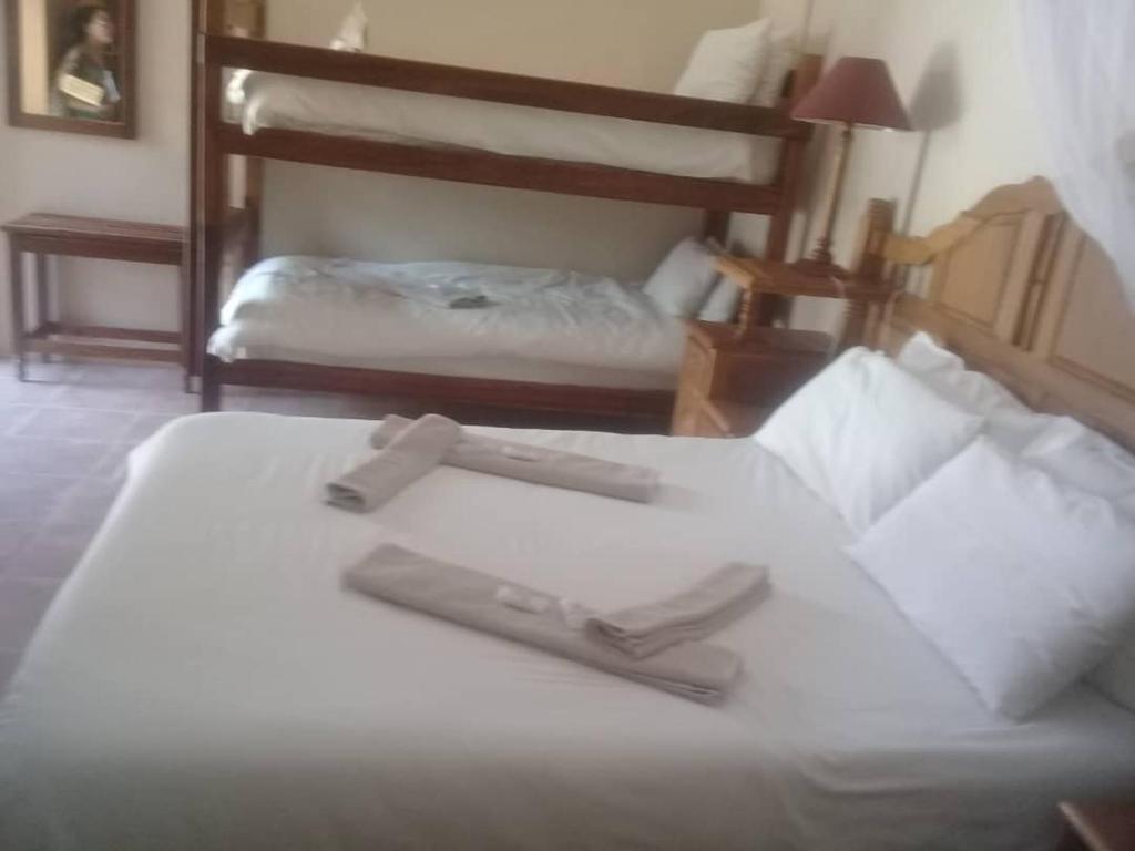 Poschodová posteľ alebo postele v izbe v ubytovaní Seeheim Hotel