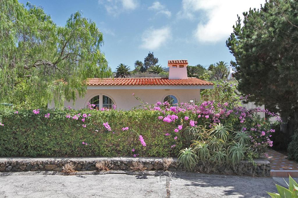 エル・パソにあるCasita Vista Valle 35の花の咲く庭のある家