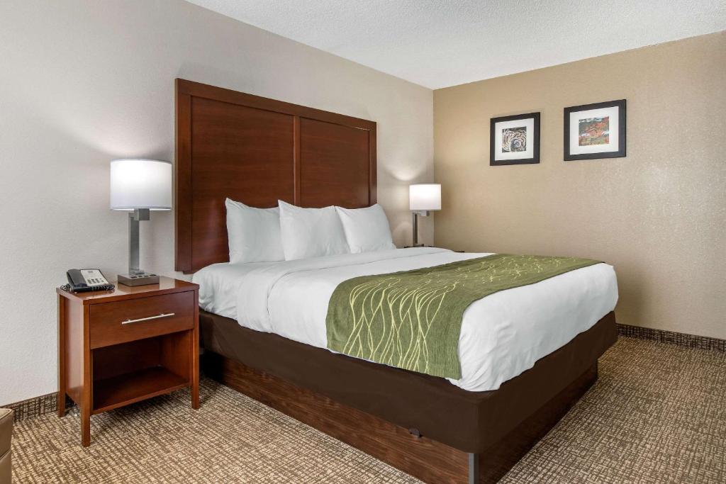 Comfort Inn - King Room - Non-Smoking