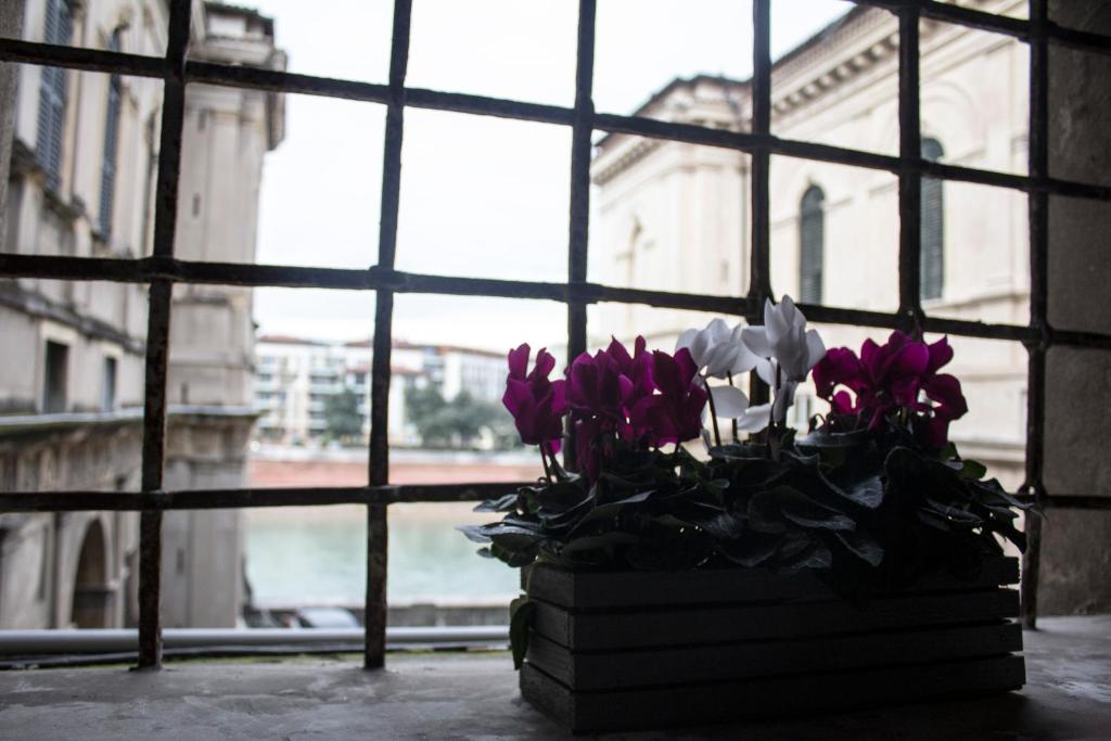 Cavour44 - Palazzo Canossa - 8