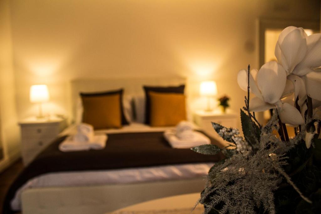 Cavour44 - Palazzo Canossa - 19