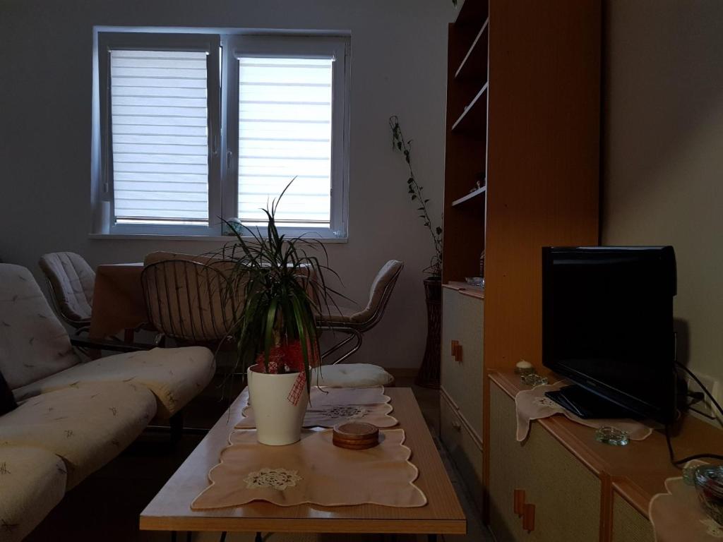 TV a/nebo společenská místnost v ubytování Vila I
