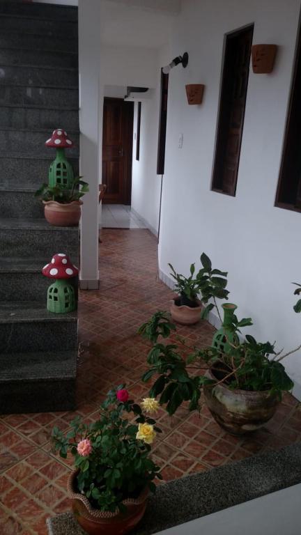  Pousada Fundo de Quintal