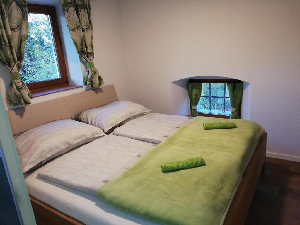 2 Einzelbetten in einem Zimmer mit 2 Fenstern in der Unterkunft Hoamatleuchten in Pettenbach