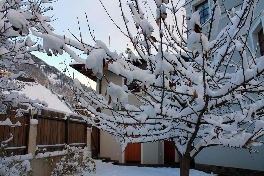 Appartement Posthäusl v zime