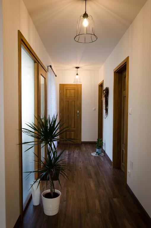 Fotografie z fotogalerie ubytování Apartmány u Kotačků v destinaci Veverské Knínice