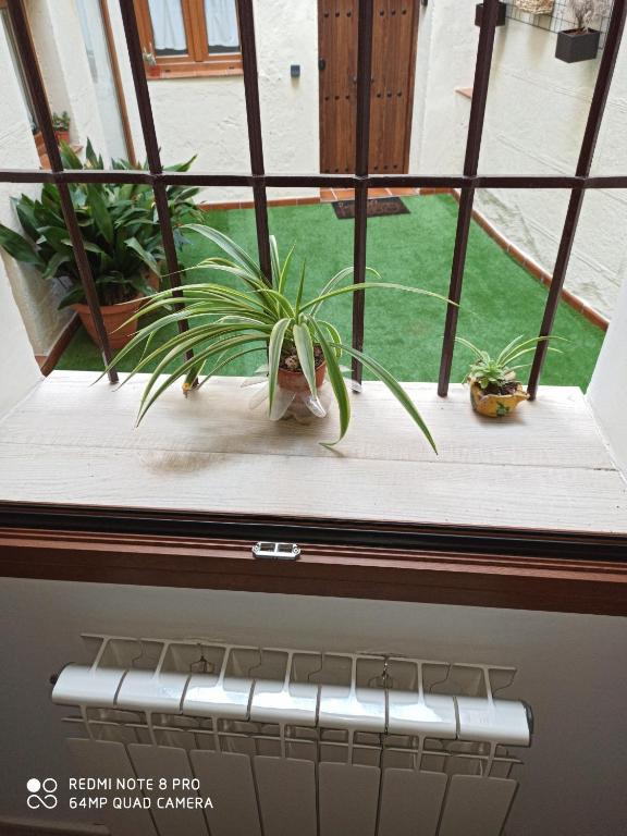 El Muro de Piedra - 17