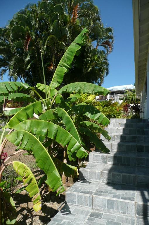 Zahrada ubytování Douceurs Caraïbes, Gîte Balisier.
