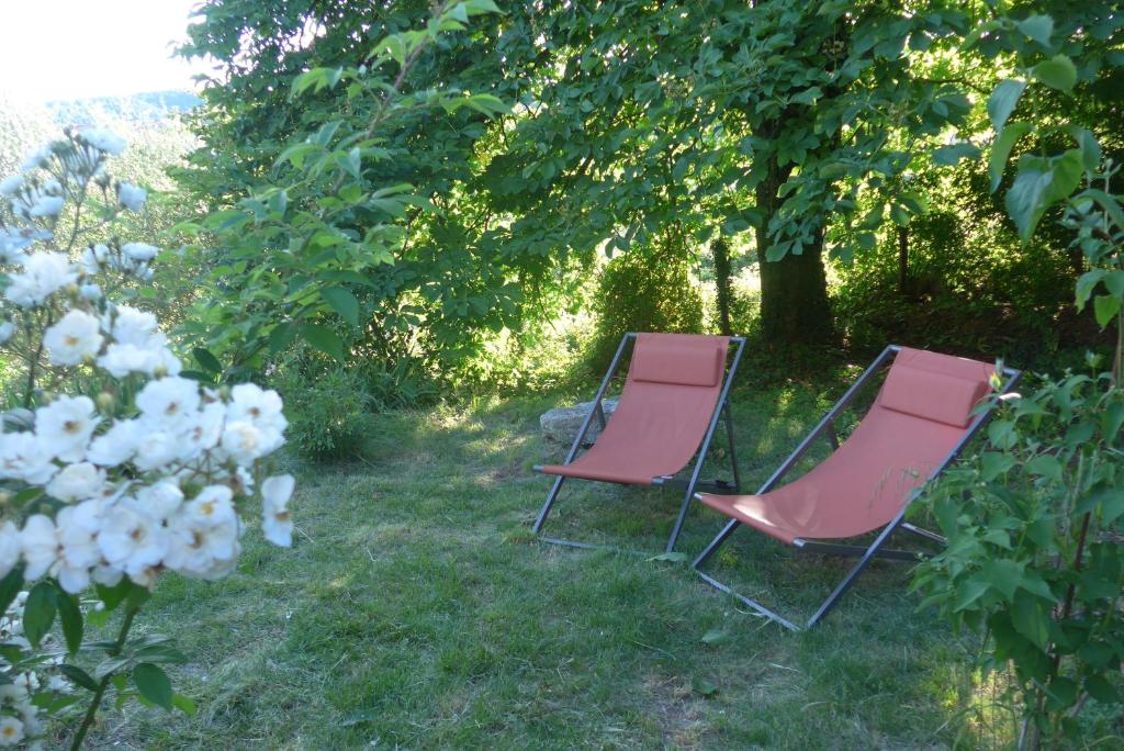 Zahrada ubytování La Colline Bleue