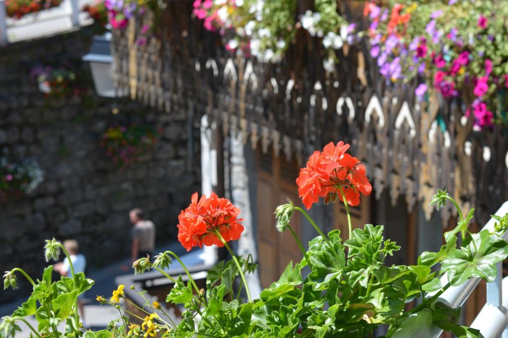 un groupe de fleurs rouges devant une clôture dans l'établissement Hotel Rhodos Morzine, à Morzine