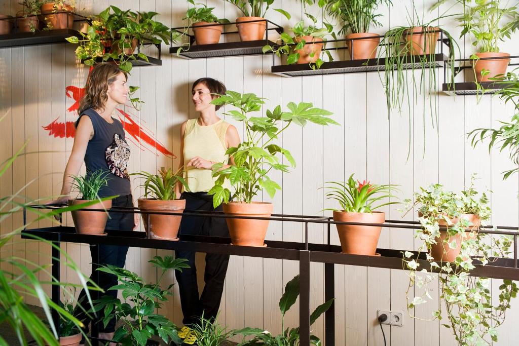 Praktik Garden - Resim 21