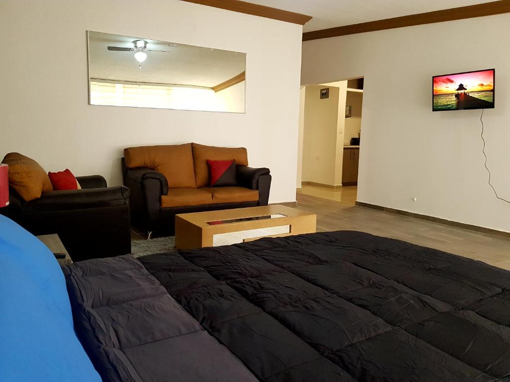 La Roma Zona Tec - San Pedro Zona Valle Ote. - Appartement