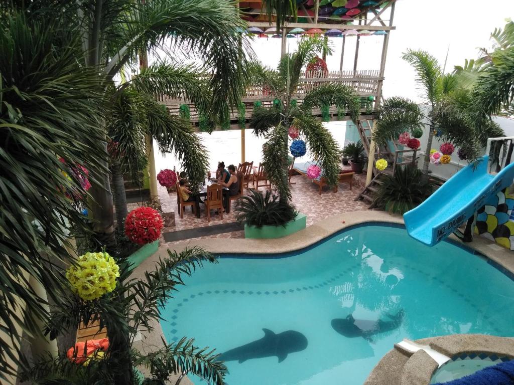 a pool at a resort with sharks in it at Sascha's Resort Oslob in Oslob