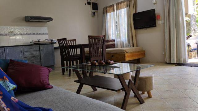 TV a/nebo společenská místnost v ubytování Lharmonie Villa