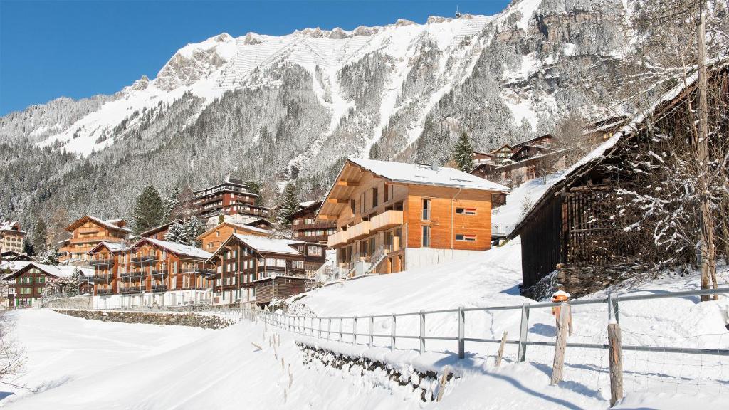 Chalet Roossi v zimě