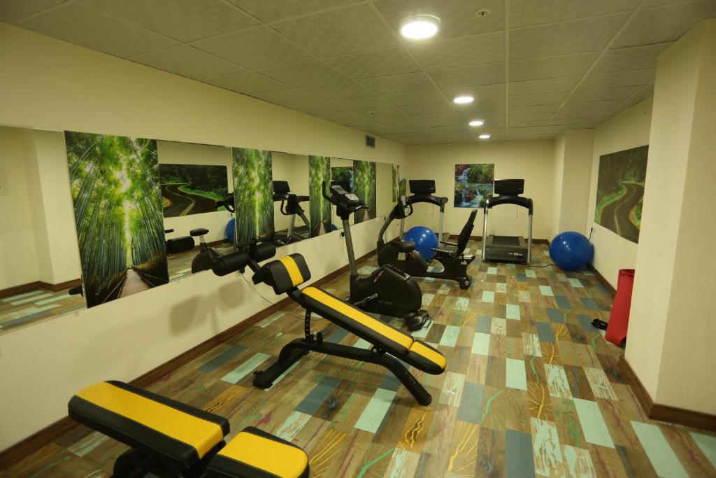 Fitness centrum a/nebo fitness zařízení v ubytování Oytun Park Hotel
