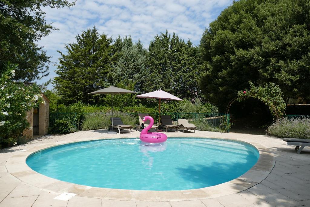 a pink toy flamingo in a swimming pool at Les Oliviers in Saint-Maximin