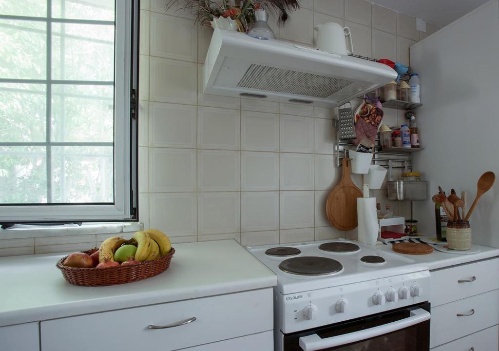 Kuchyň nebo kuchyňský kout v ubytování Marathos beach House
