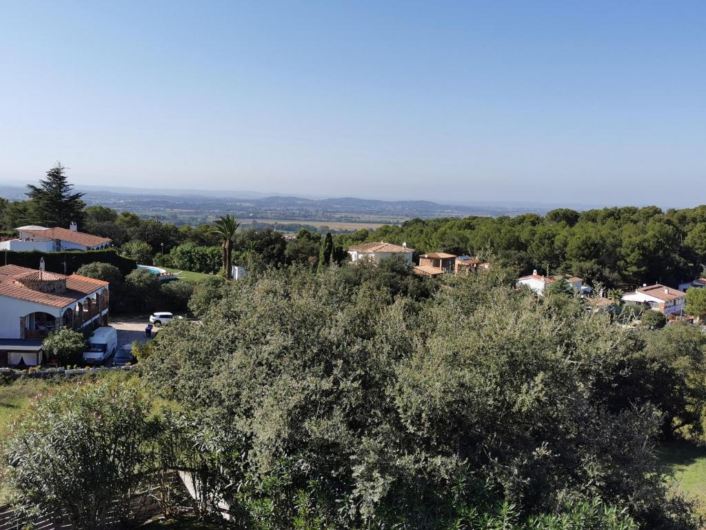 Príroda v okolí vily