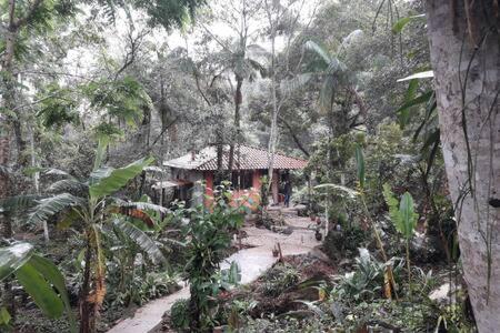  casa na cachoeira
