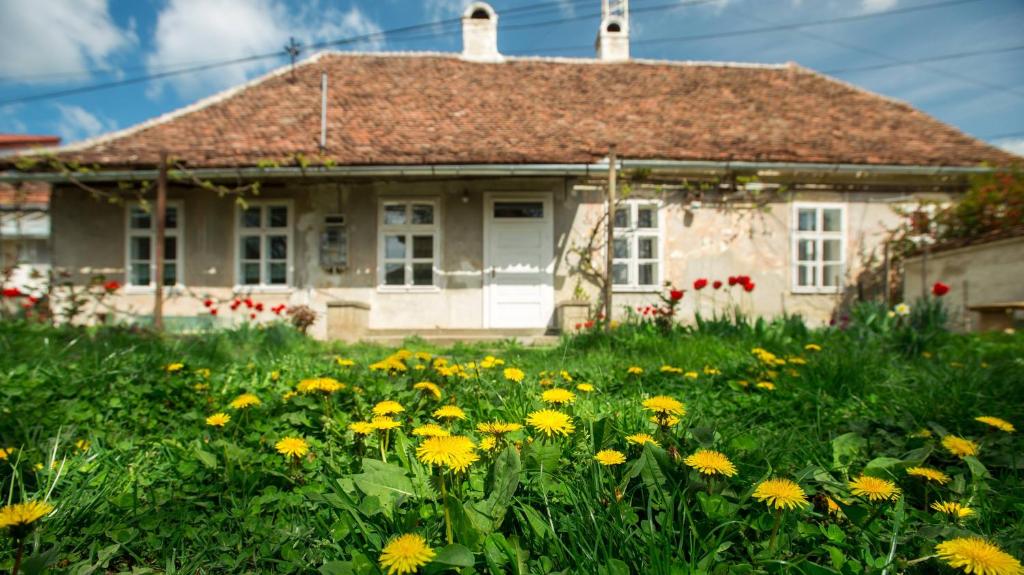 Zahrada ubytování Gästehaus Fogarasch