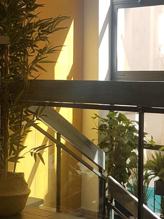 Hotel Victoria - Resim 17